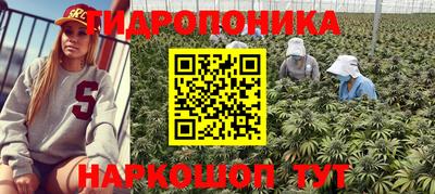 ГАЛЛЮЦИНОГЕННЫЕ ГРИБЫ Тверь