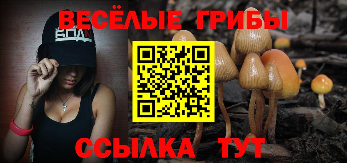 Галлюциногенные грибы GOLDEN TEACHER Нальчик